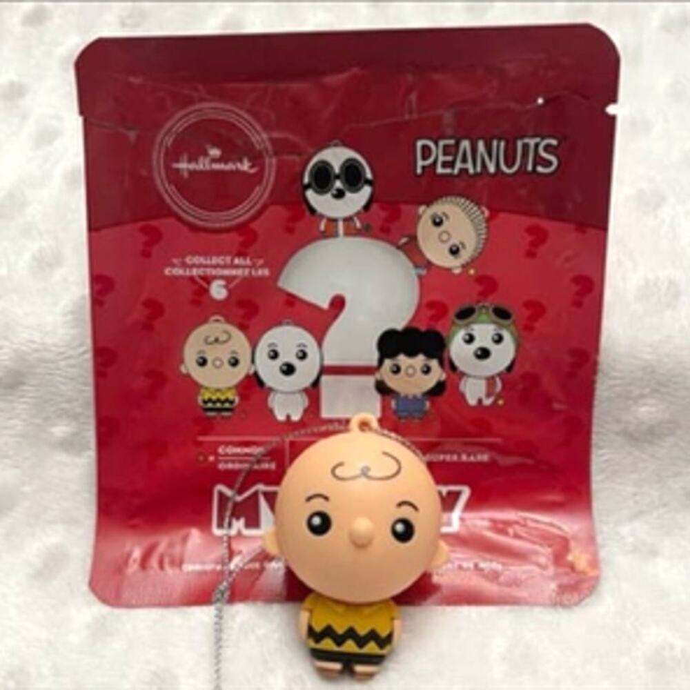 Hallmark Peanuts 2021 Mystery Collectible Ornament -Charlie Brown- NEW, OPENED